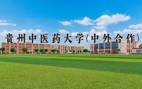 贵州中医药大学(中外合作)近三年录取分数线及位次：四川2022-2024最低分