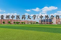 贵州中医药大学(中外合作)近三年录取分数线及位次：四川2022-2024最低分