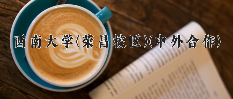 西南大学(荣昌校区)(中外合作)近三年录取分数线及位次：四川2022-2024最低分