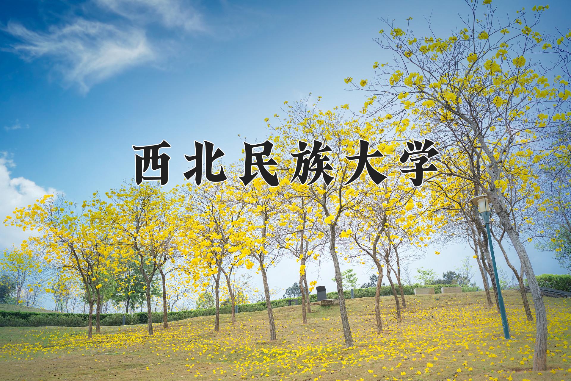 西北民族大学近三年录取分数线及位次:四川2022-2024最低分