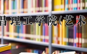 南昌理工学院(艺术类)近三年录取分数线及位次：四川2022-2024最低分