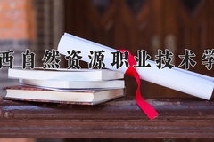 2024年广西自然资源职业技术学院录取分数线，内蒙古最低217分