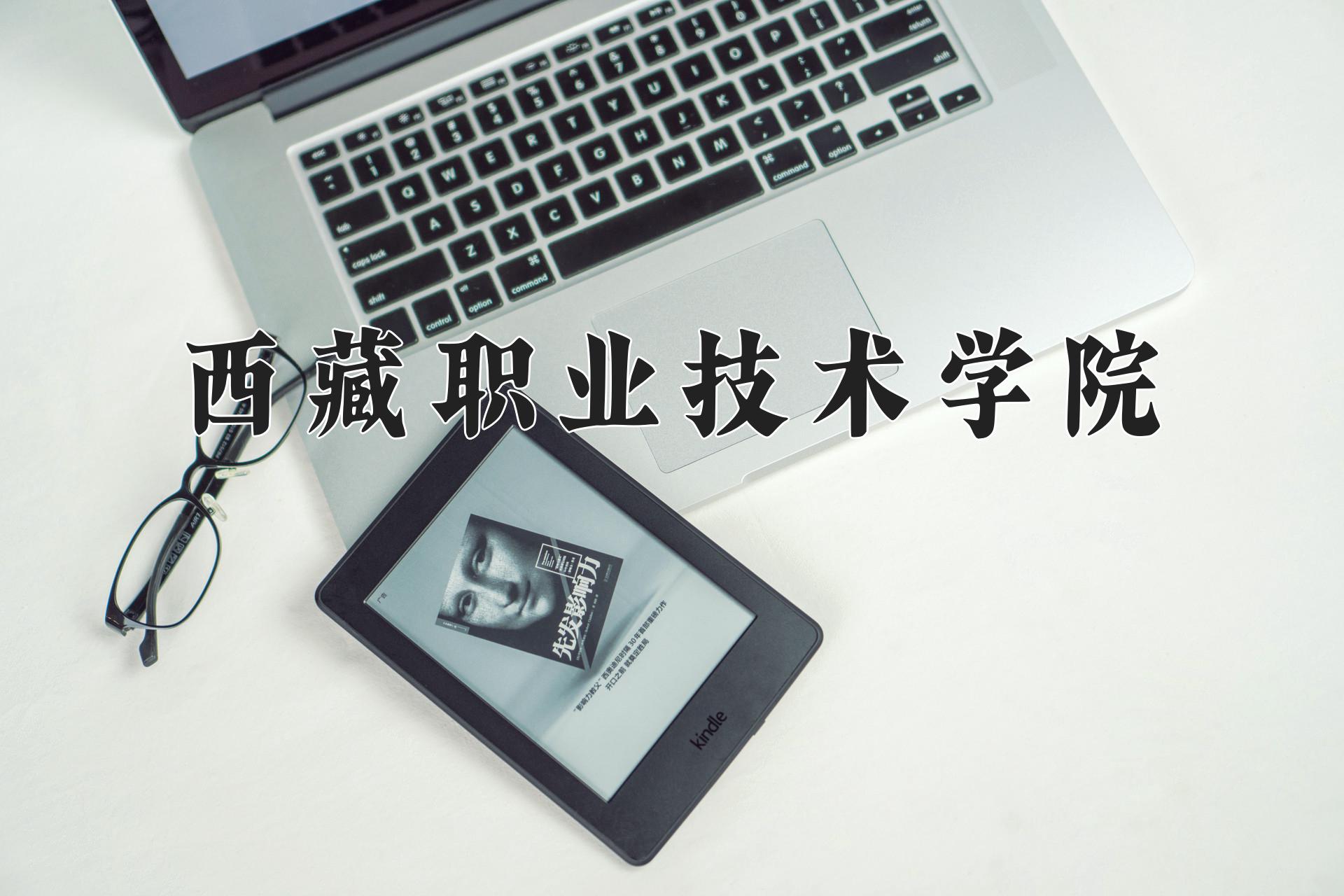 西藏职业技术学院近三年录取分数线及位次:四川2022-2024最低分
