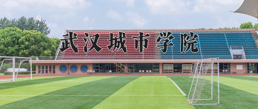 武汉城市学院近三年录取分数线及位次:四川2022-2024最低分