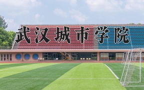 武汉城市学院近三年录取分数线及位次：四川2022-2024最低分