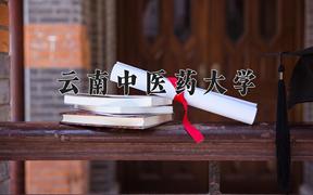 云南中医药大学近三年录取分数线及位次：四川2022-2024最低分