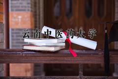 云南中医药大学近三年录取分数线及位次：四川2022-2024最低分