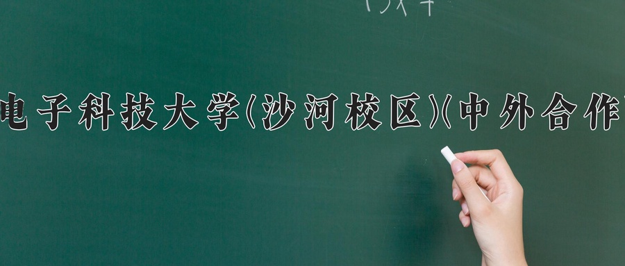 电子科技大学(沙河校区)(中外合作)近三年录取分数线及位次:四川2022-2024最低分