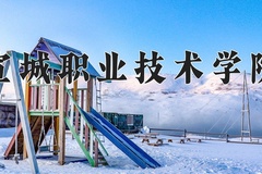 宣城职业技术学院近三年录取分数线及位次：四川2022-2024最低分