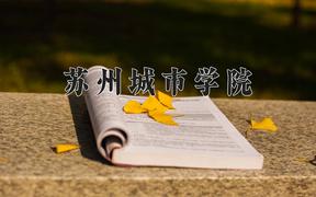苏州城市学院近三年录取分数线及位次：四川2022-2024最低分