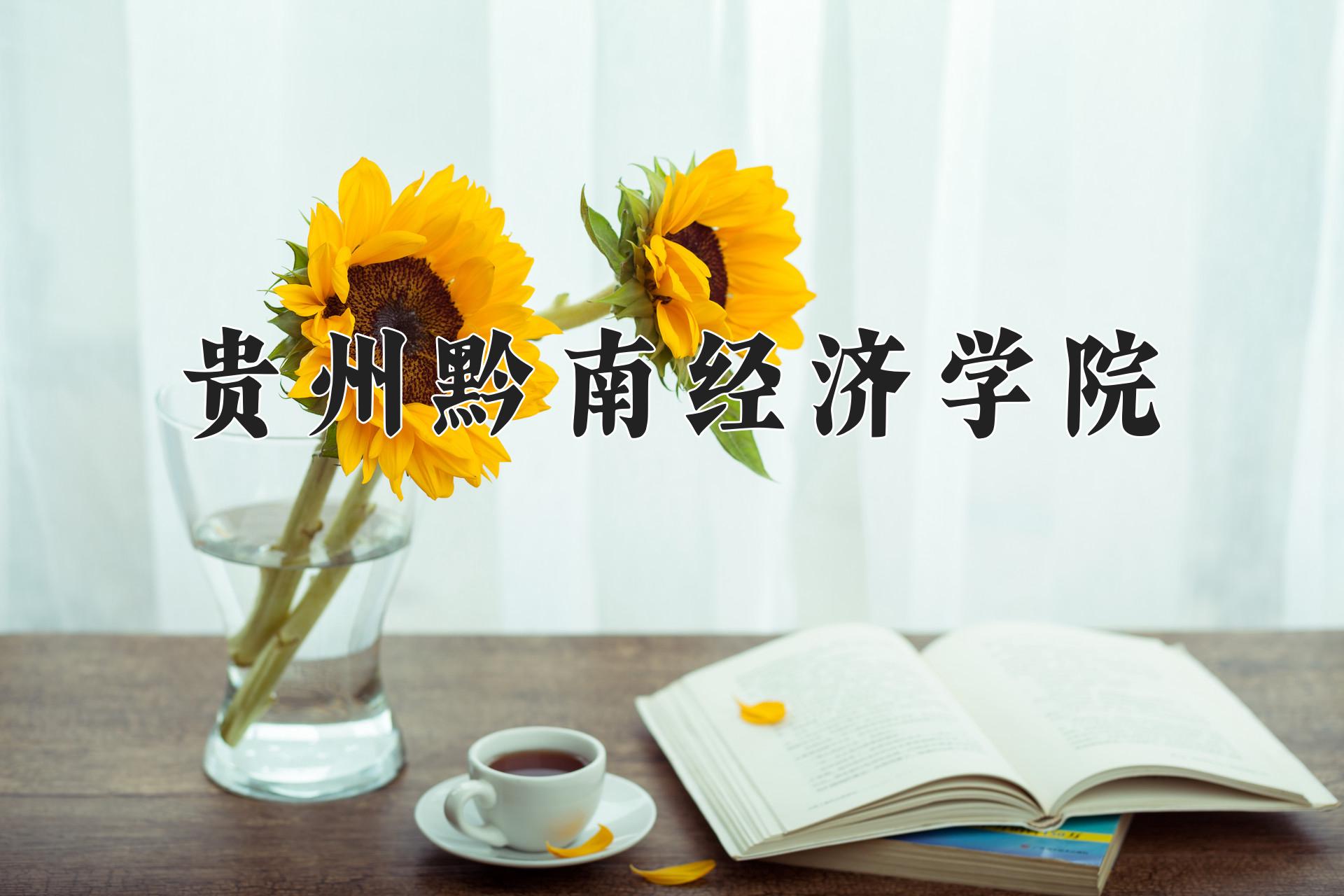 贵州黔南经济学院近三年录取分数线及位次:四川2022-2024最低分