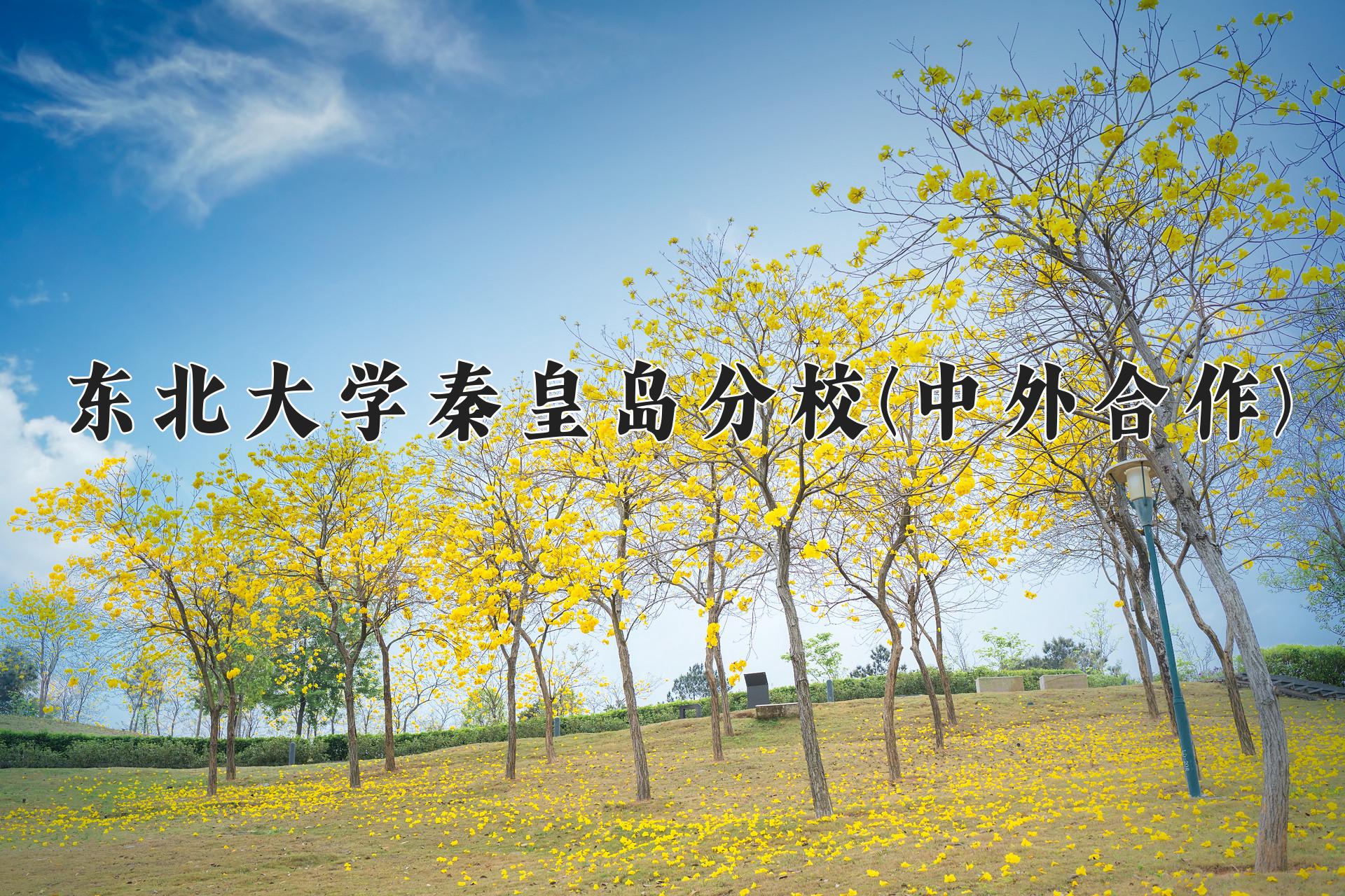 东北大学秦皇岛分校(中外合作)近三年录取分数线及位次:四川2022-2024最低分