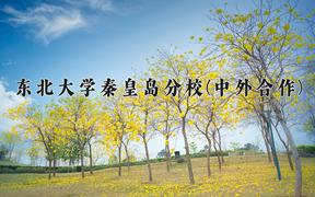 东北大学秦皇岛分校(中外合作)近三年录取分数线及位次：四川2022-2024最低分
