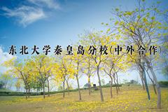 东北大学秦皇岛分校(中外合作)近三年录取分数线及位次：四川2022-2024最低分