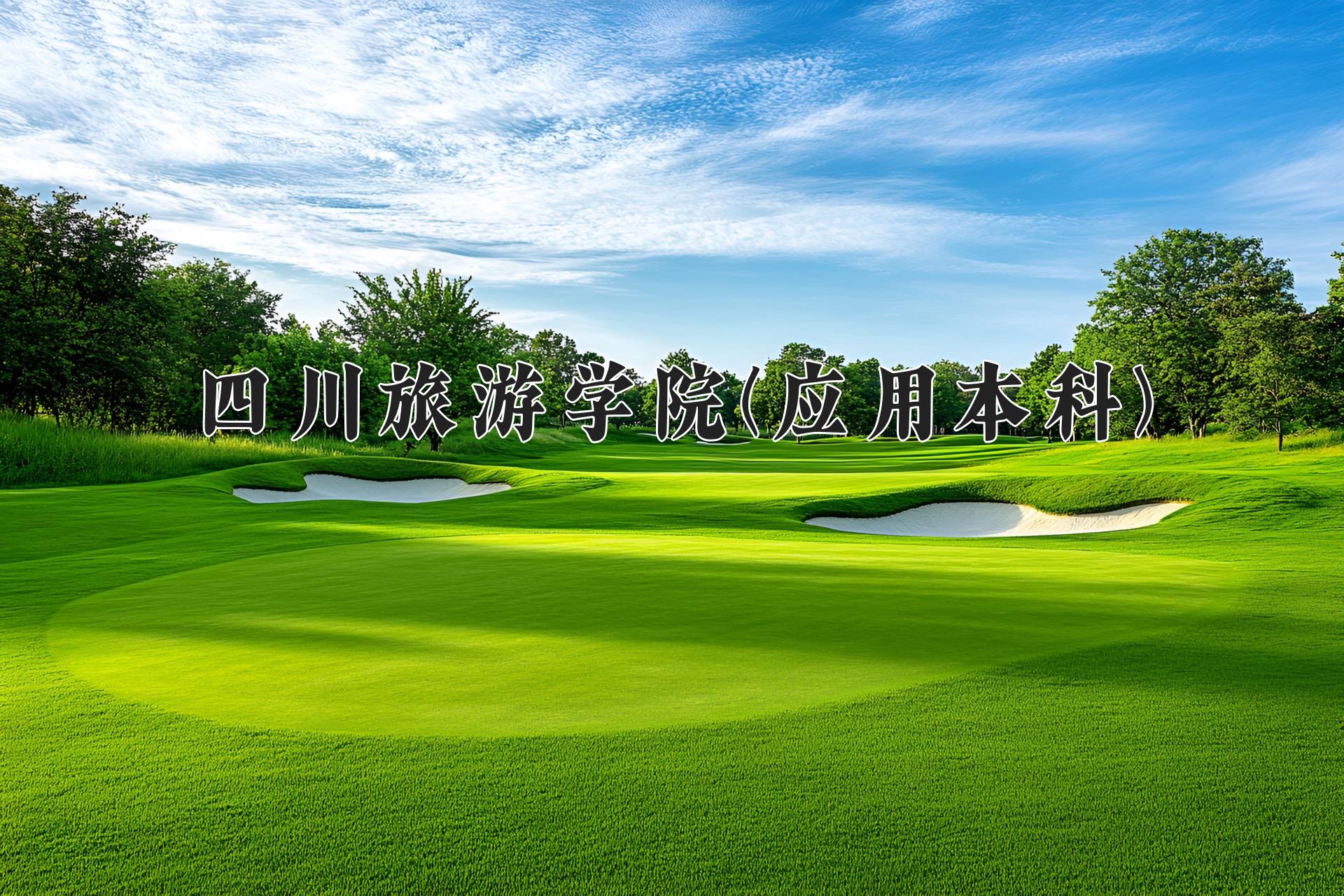 四川旅游学院(应用本科)近三年录取分数线及位次:四川2022-2024最低分