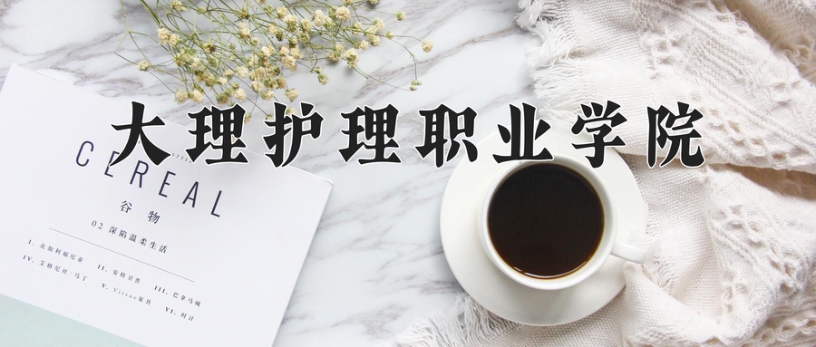 大理护理职业学院近三年录取分数线及位次:四川2022-2024最低分