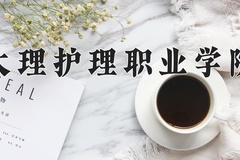大理护理职业学院近三年录取分数线及位次：四川2022-2024最低分