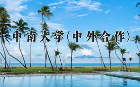 2024年中南大学(中外合作)录取分数线，内蒙古最低581分