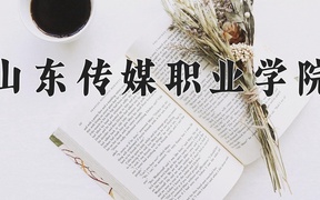 山东传媒职业学院近三年录取分数线及位次：四川2022-2024最低分