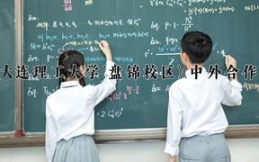大连理工大学(盘锦校区)(中外合作)近三年录取分数线及位次：四川2022-2024最低分