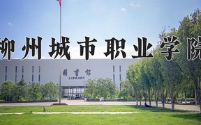 2024年柳州城市职业学院录取分数线，内蒙古最低209分