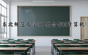 东北师范大学(中外合作)(计算机)近三年录取分数线及位次：四川2022-2024最低分