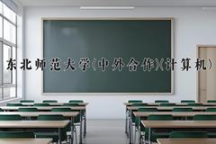 东北师范大学(中外合作)(计算机)近三年录取分数线及位次：四川2022-2024最低分