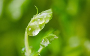 高三语文必背72篇古诗词大全！2025高中语文新课标必背篇目