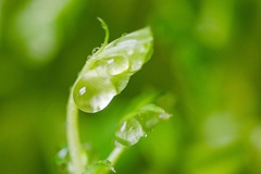 高三语文必背72篇古诗词大全！2025高中语文新课标必背篇目