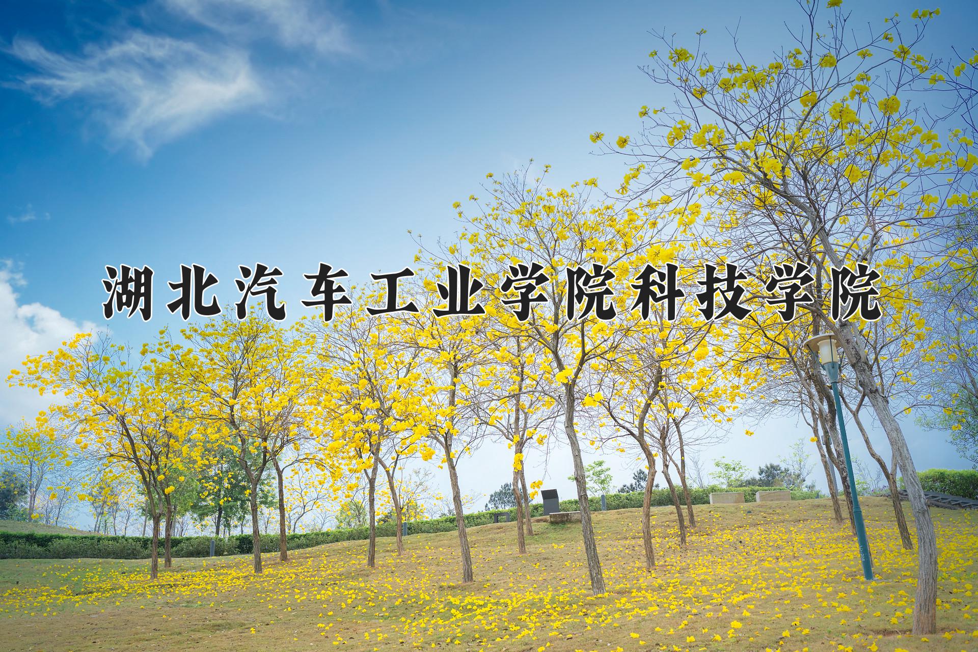 湖北汽车工业学院科技学院近三年录取分数线及位次：四川2022-2024最低分