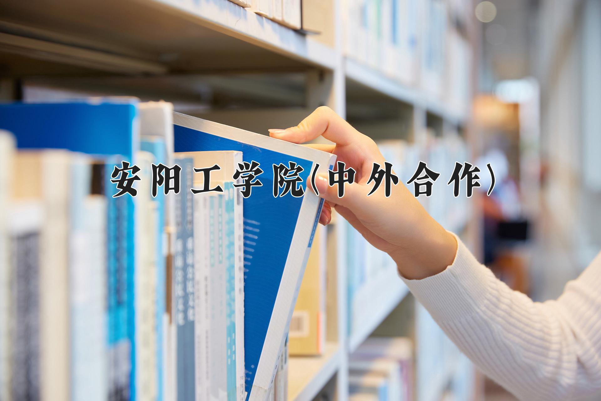 安阳工学院(中外合作)近三年录取分数线及位次:四川2022-2024最低分
