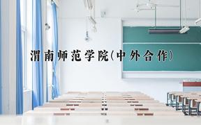 渭南师范学院(中外合作)近三年录取分数线及位次：四川2022-2024最低分