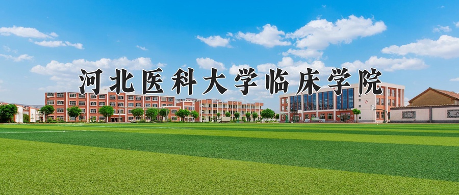 河北医科大学临床学院