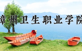 漳州卫生职业学院近三年录取分数线及位次：四川2022-2024最低分