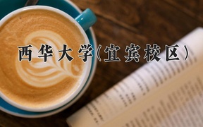 西华大学(宜宾校区)近三年录取分数线及位次：四川2022-2024最低分