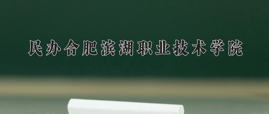 民办合肥滨湖职业技术学院近三年录取分数线及位次：四川2022-2024最低分