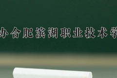 民办合肥滨湖职业技术学院近三年录取分数线及位次：四川2022-2024最低分