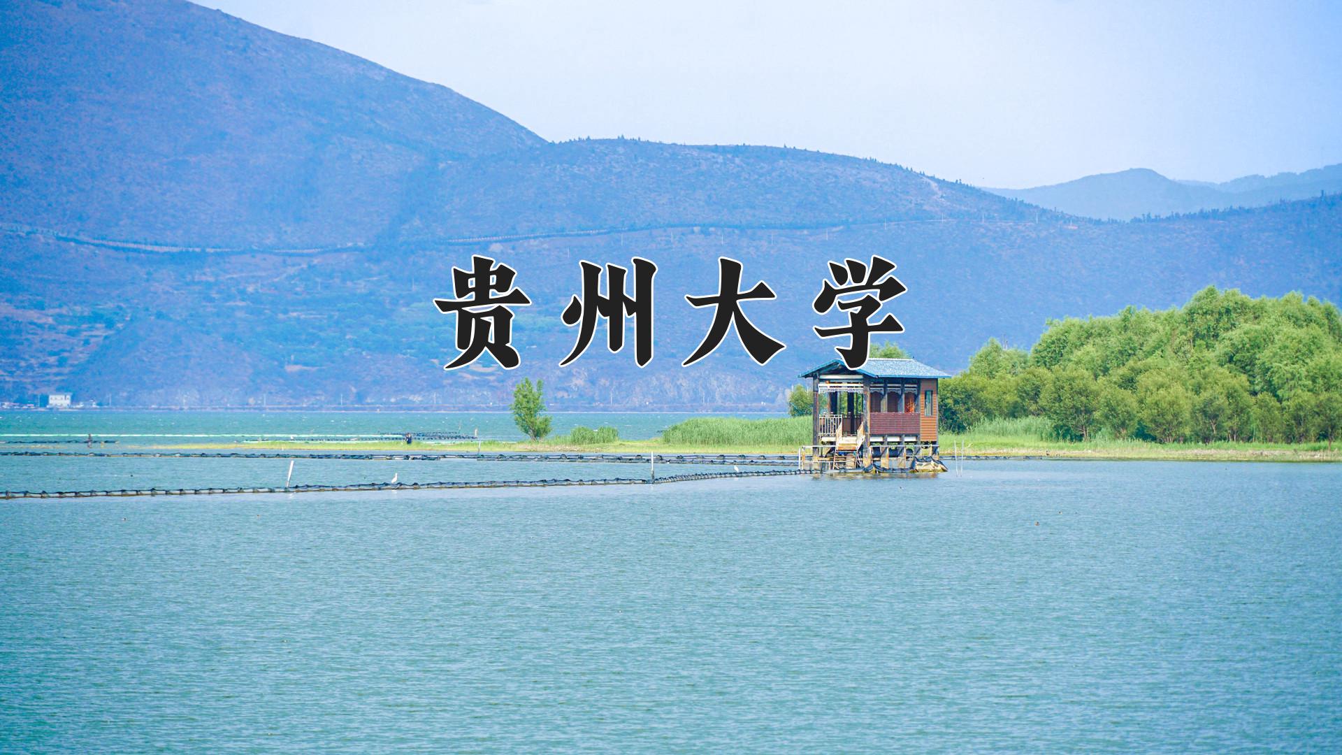 贵州大学近三年录取分数线及位次:四川2022-2024最低分