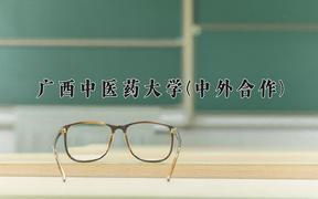 广西中医药大学(中外合作)近三年录取分数线及位次：四川2022-2024最低分