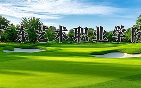 广东艺术职业学院近三年录取分数线及位次：四川2022-2024最低分