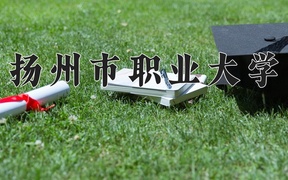 2024年扬州市职业大学录取分数线，内蒙古最低277分