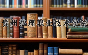 贵州护理职业技术学院近三年录取分数线及位次：四川2022-2024最低分