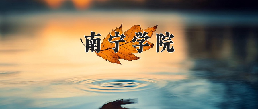南宁学院