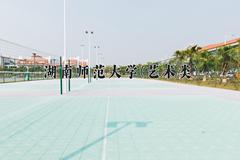 湖南师范大学(艺术类)近三年录取分数线及位次：四川2022-2024最低分