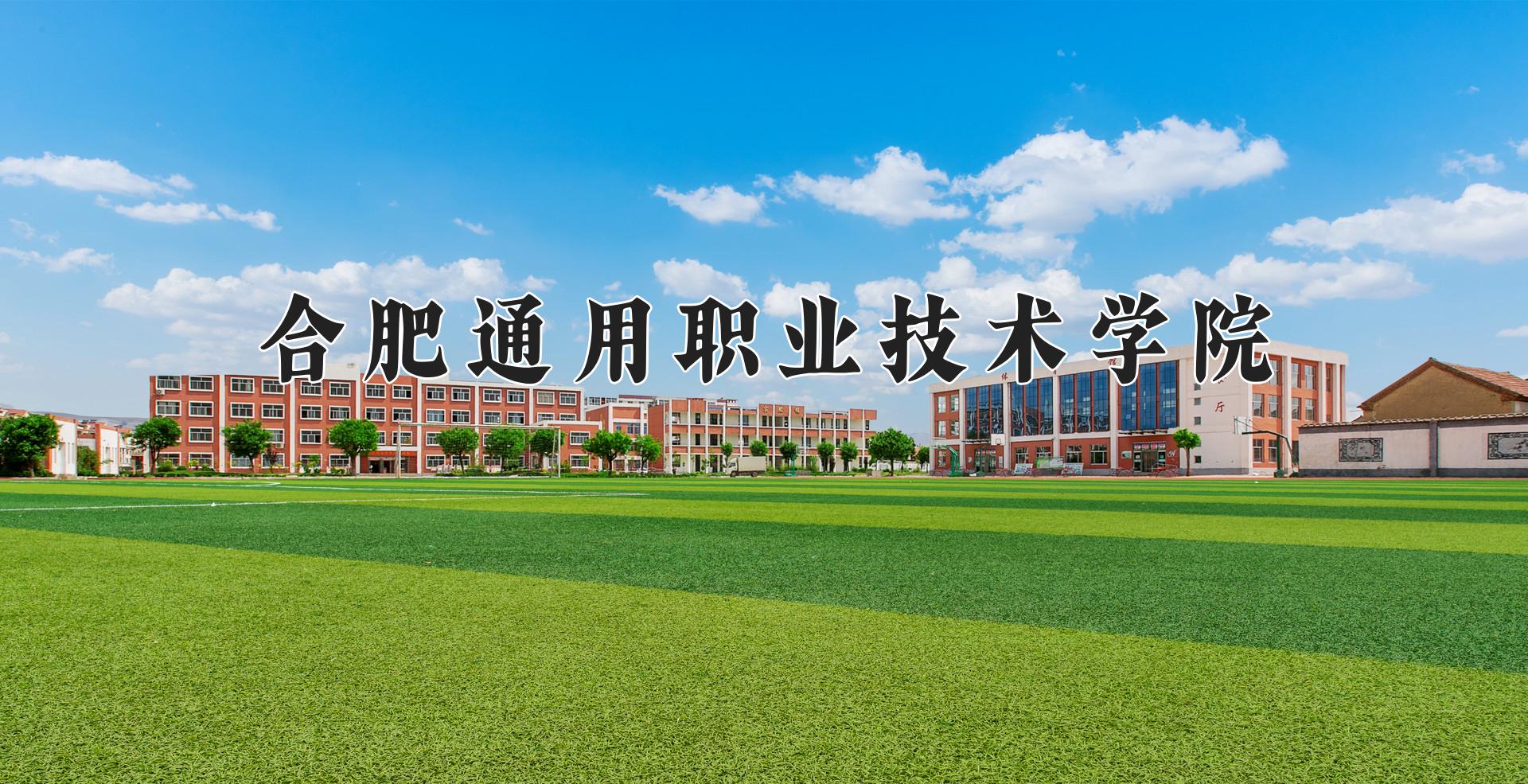 合肥通用职业技术学院近三年录取分数线及位次：四川2022-2024最低分