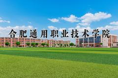 合肥通用职业技术学院近三年录取分数线及位次：四川2022-2024最低分