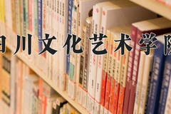 2024年四川文化艺术学院录取分数线，内蒙古最低304分