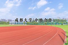 成都大学(中外合作)近三年录取分数线及位次：四川2022-2024最低分