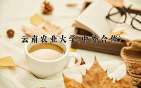 云南农业大学(中外合作)近三年录取分数线及位次：四川2022-2024最低分