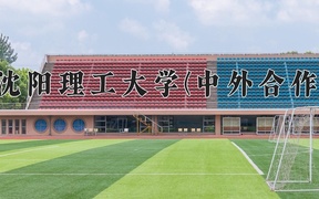 2024年沈阳理工大学(中外合作)录取分数线，内蒙古最低411分